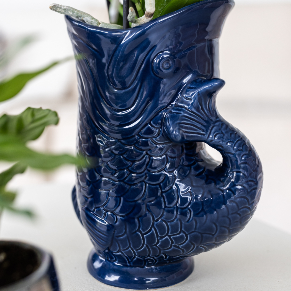 Kolibri-Orchideen | Set aus Lima-Orchideen und Sukkulenten in Keramiktöpfen – Topfgrößen Ø9cm & Ø6cm | blühende Zimmerpflanze – frisch vom Züchter