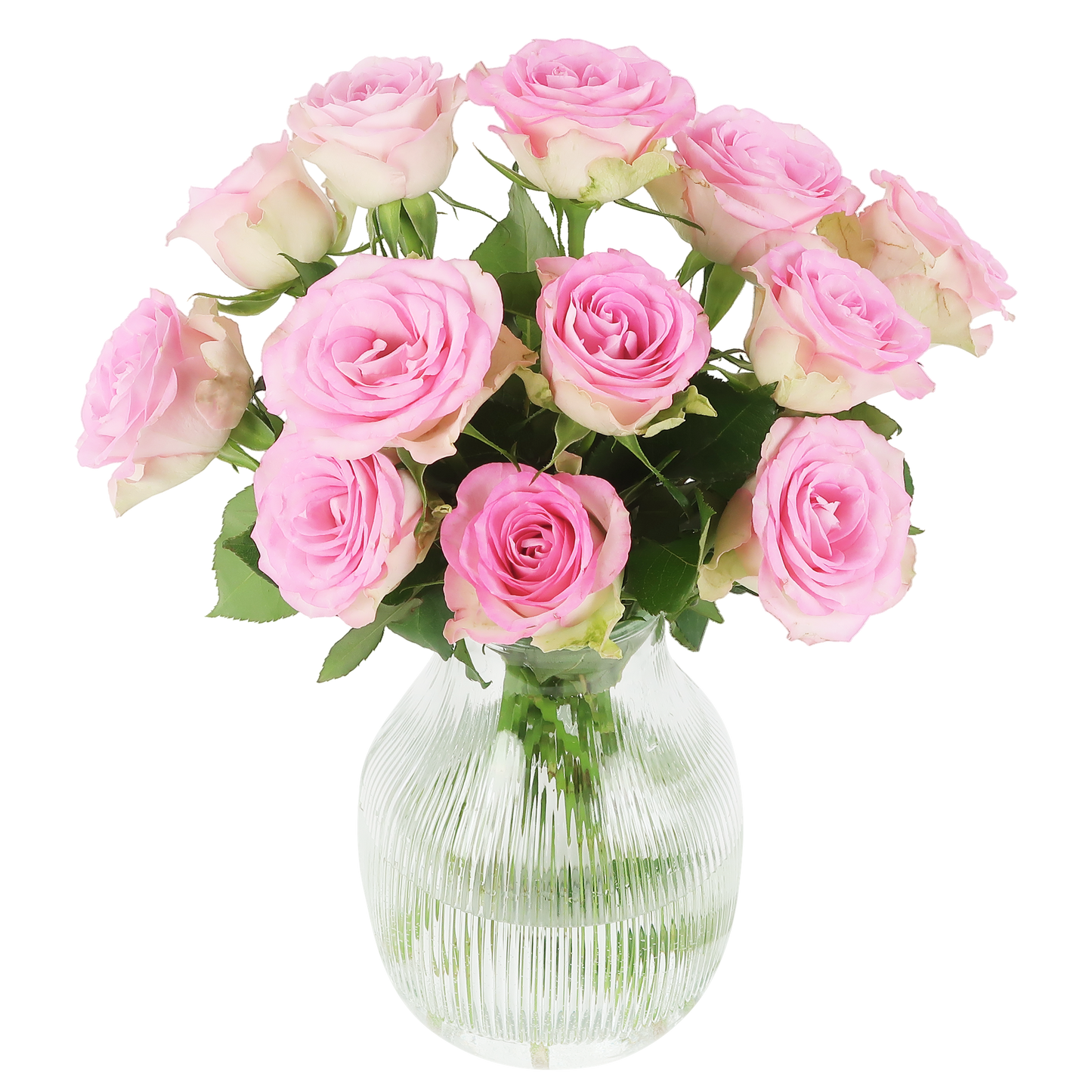 Süße Rosen - rosa Rosen im Briefkastenpaket