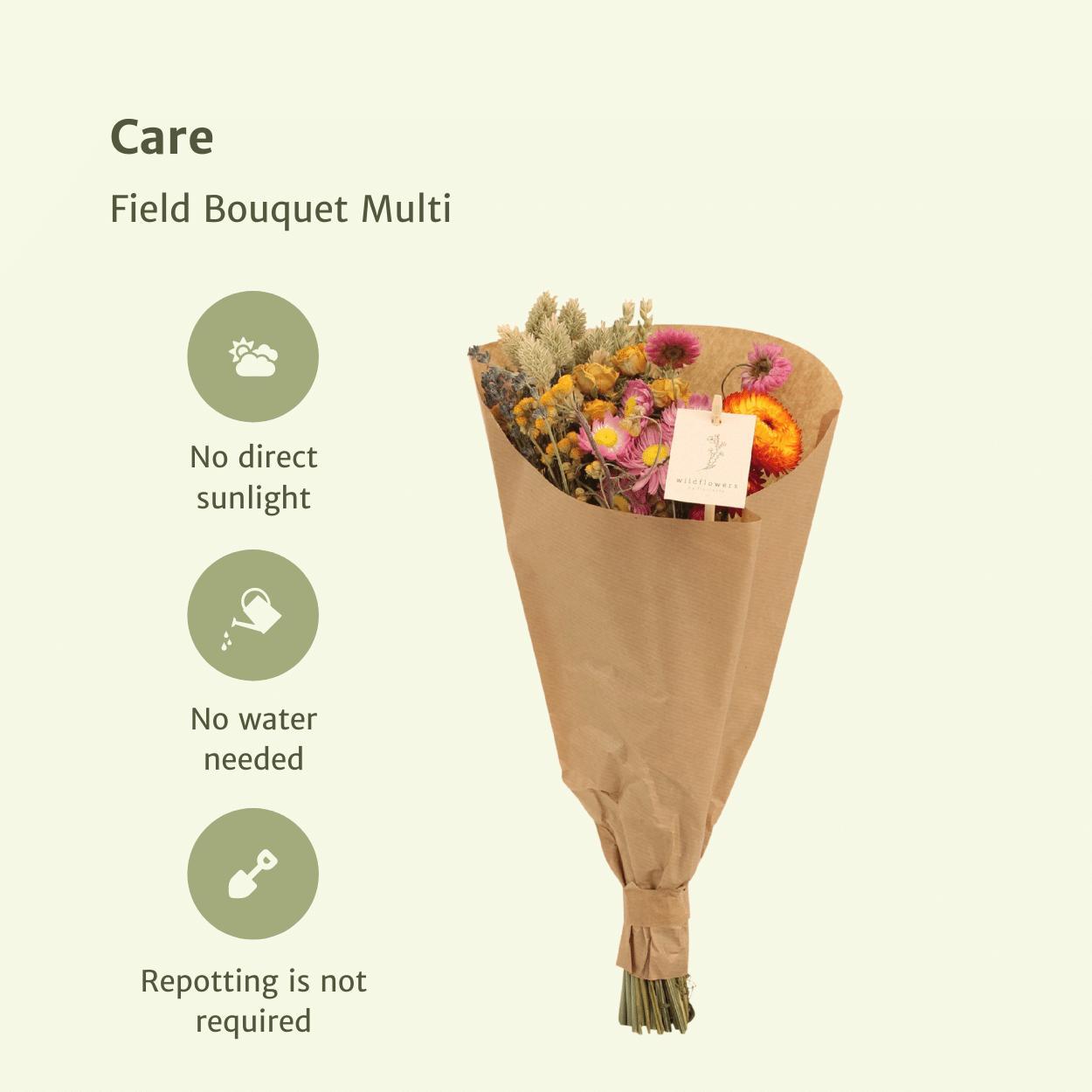 12x Feldstrauß Multi - Trockenstrauß - 35cm - Ø15