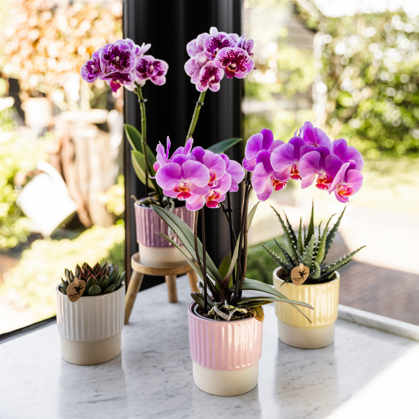 Hummingbird Home | Dekorativer Buttertopf - Rosa