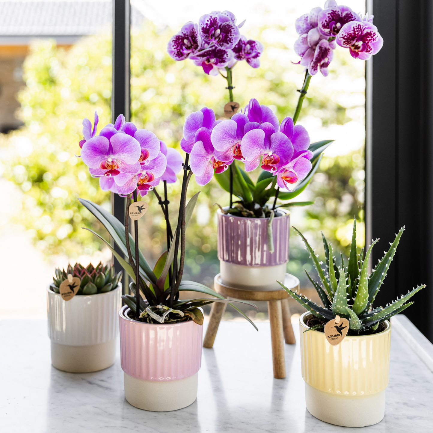 Hummingbird Home | Dekorativer Buttertopf - Rosa