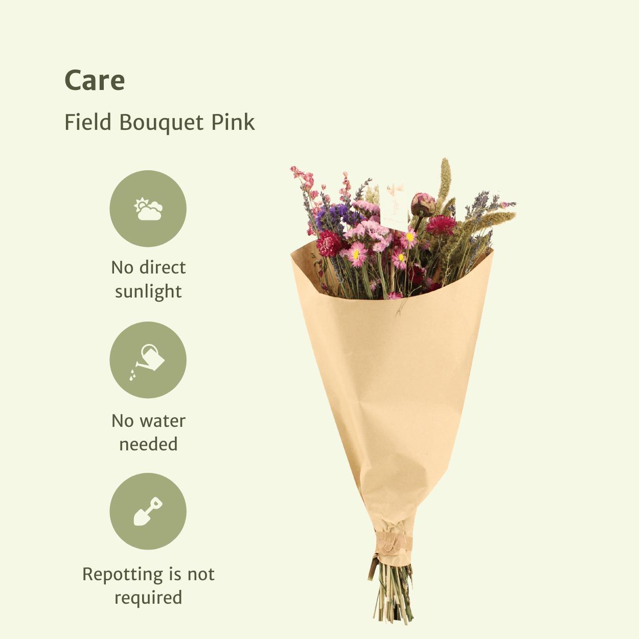 10xFeldstrauß Rosa - Trockenstrauß - 50cm - Ø20