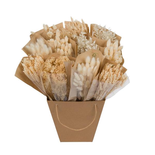 Trockenblumen - Dried Mono Mix - Weiß - ↕50cm