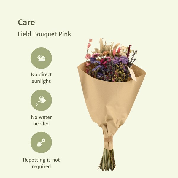 Trockenblumen Feldstrauß Rosa - Ø25cm - ↕60cm - Ø20 - ↨50cm