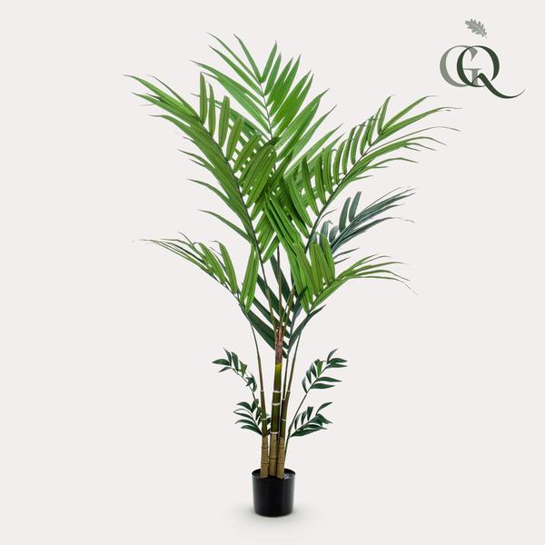 Künstliche Pflanze - Kentia - Kentiapalme - 180 cm