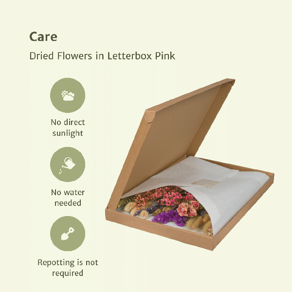 Dried flowers in Letterbox Pink - ↕30cm - Pink