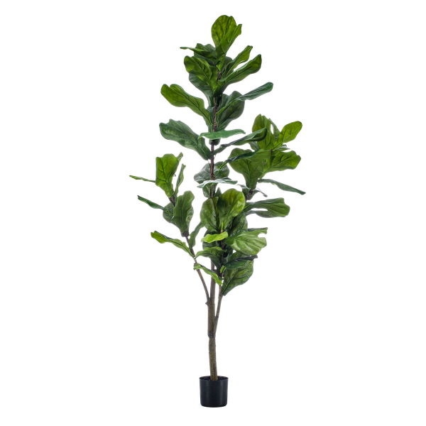 Kunstpflanze - Ficus Lyrata - Tabakpflanze - 150cm