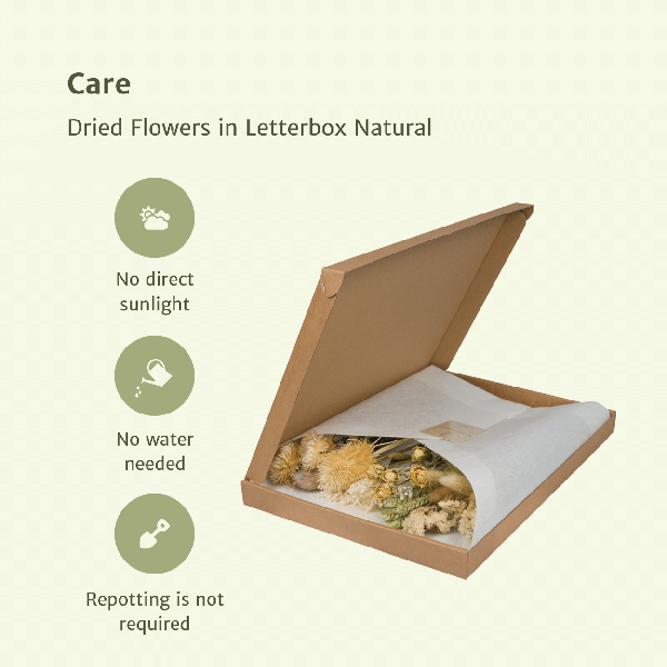 Droogbloemen in Letterbox Pink - ↕30cm - Natural