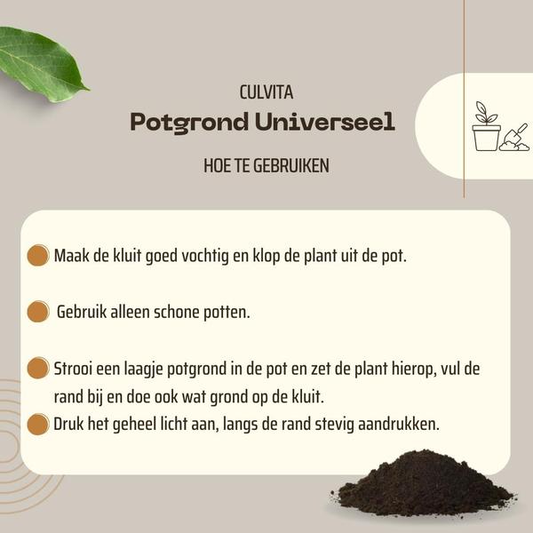 Culvita Universal-Blumenerde inklusive 2 Monate Pflanzennahrung – Universelle Blumenerde für Zimmerpflanzen und Freilandpflanzen – 40 Liter