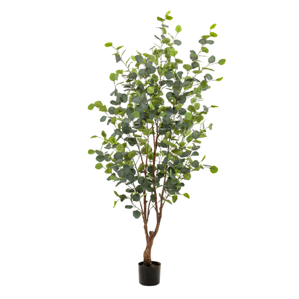 Künstliche Pflanze - Eukalyptus - Blue Gum Tree - 140 cm