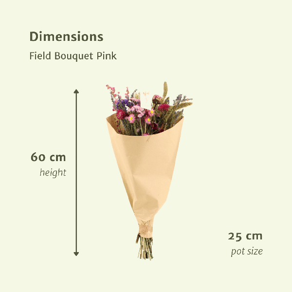 Trockenblumen Feldstrauß Rosa - Ø25cm - ↕60cm - Ø25 - ↨60cm