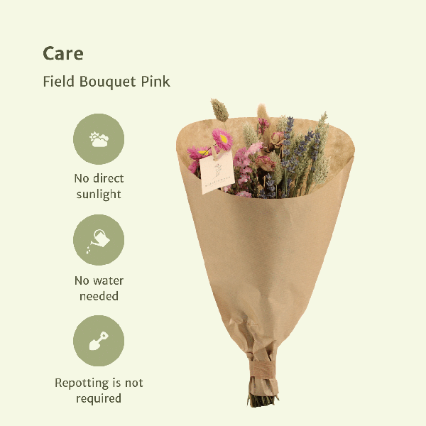 Trockenblumen Feldstrauß Rosa - Ø25cm - ↕60cm - Ø15 - ↨35cm