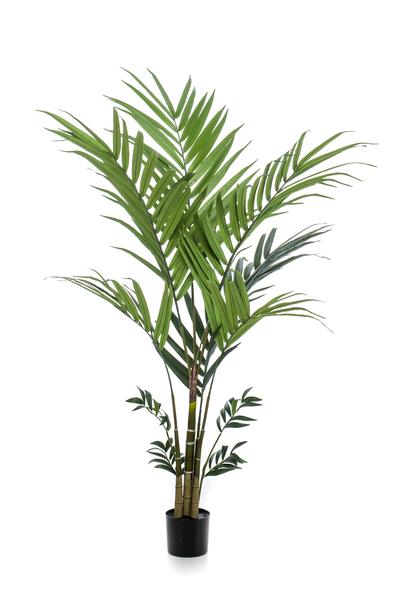 Künstliche Pflanze - Kentia - Kentiapalme - 180 cm
