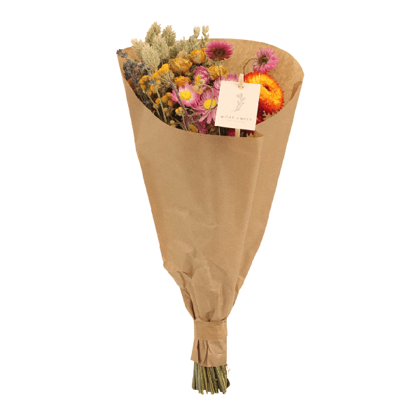 Trockenblumen-Feldstrauß Multi - Ø25cm - ↕60cm - Ø15 - ↨35cm