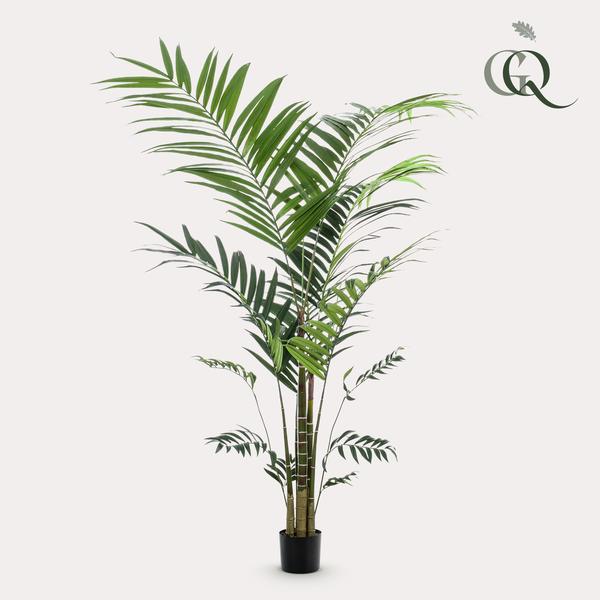 Kunstpflanze - Kentia - Kentiapalme - 210cm