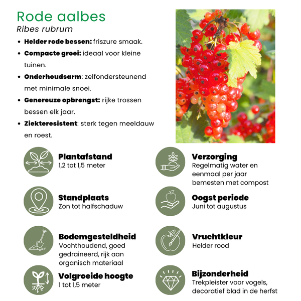 „Obst-Oase“ BIO Obstpflanzen-Mix-Set aus 5 verschiedenen Sorten