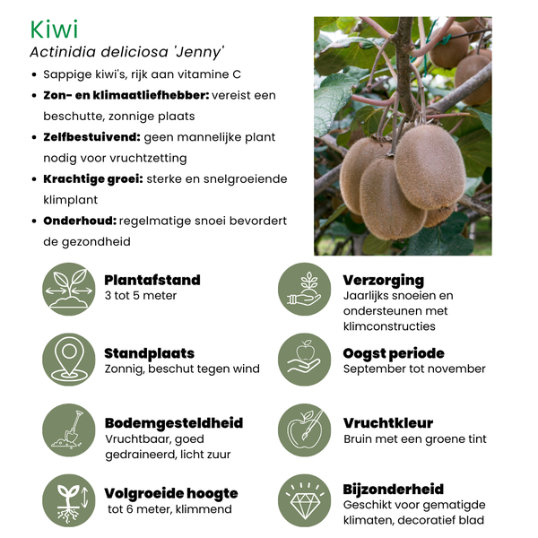 „Süßes Erntetrio“ BIO Obstpflanzen-Mix-Set aus 3 verschiedenen Sorten
