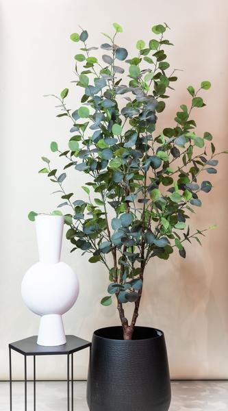 Künstliche Pflanze - Eukalyptus - Blue Gum Tree - 180 cm