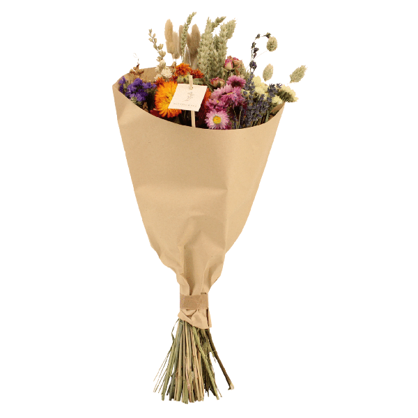Trockenblumen-Feldstrauß Multi - Ø25cm - ↕60cm - Ø20 - ↨50cm