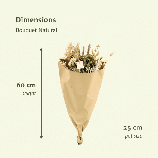 Trockenblumen Feldstrauß Natur - Ø25cm - ↕60cm - Ø25 - ↨60cm