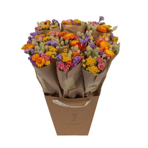 Trockenblumen - Market More - Multi - ↕50cm