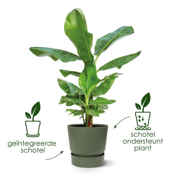 Topf elho Greenville Rund grau - D24 x H23
