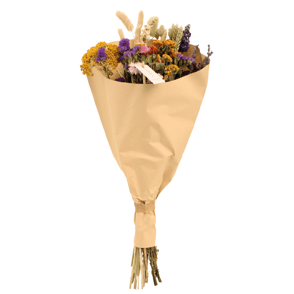 Trockenblumen-Feldstrauß Multi - Ø25cm - ↕60cm - Ø25 - ↨60cm