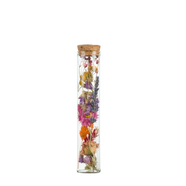 Trockenblumen - Wish Bottle Medium - Multi - 6 Stück - ↕15cm
