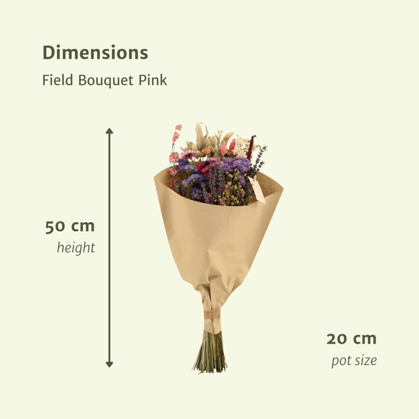 Trockenblumen Feldstrauß Rosa - Ø25cm - ↕60cm - Ø20 - ↨50cm