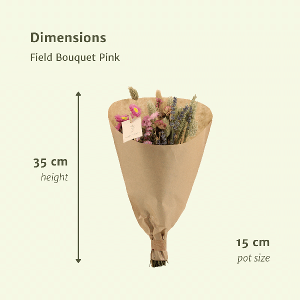 Trockenblumen Feldstrauß Rosa - Ø25cm - ↕60cm - Ø15 - ↨35cm