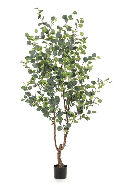 Künstliche Pflanze - Eukalyptus - Blue Gum Tree - 180 cm