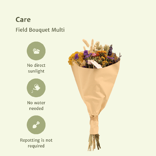 Trockenblumen-Feldstrauß Multi - Ø25cm - ↕60cm - Ø25 - ↨60cm
