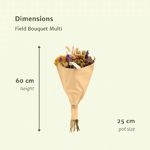 Trockenblumen-Feldstrauß Multi - Ø25cm - ↕60cm - Ø25 - ↨60cm