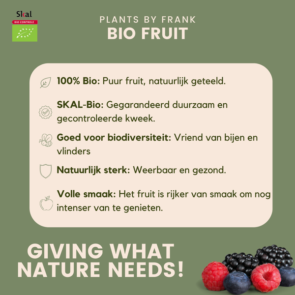 „Süßes Erntetrio“ BIO Obstpflanzen-Mix-Set aus 3 verschiedenen Sorten