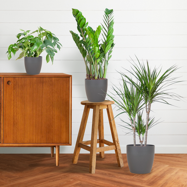 Shade Plant Box – mittelgroß – mit Vibers-Topf grau
