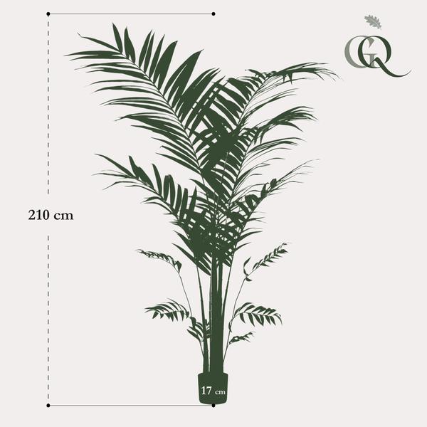 Kunstpflanze - Kentia - Kentiapalme - 210cm