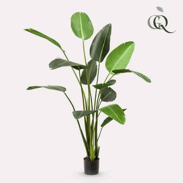 Künstliche Pflanze - Strelitzia Nicolai - Paradiesvogelblume - 230 cm