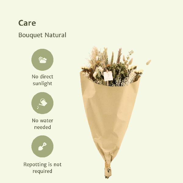 Trockenblumen Feldstrauß Natur - Ø25cm - ↕60cm - Ø25 - ↨60cm