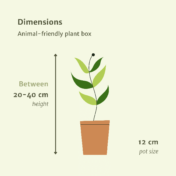 Tierfreundliche Pflanzkiste - 4 Stück - Ø12cm - ↕20-40cm