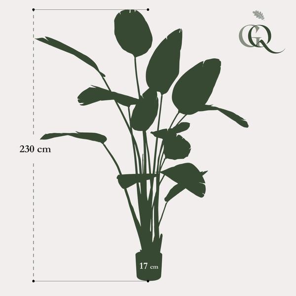 Künstliche Pflanze - Strelitzia Nicolai - Paradiesvogelblume - 230 cm