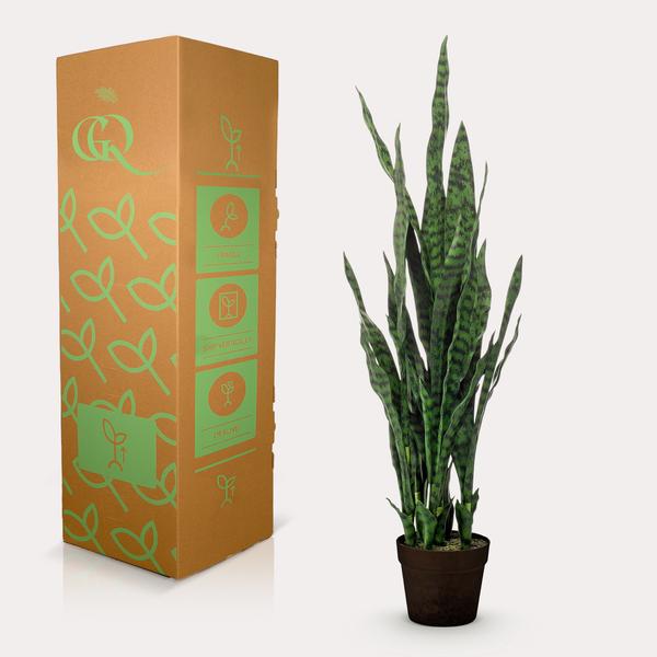 Künstliche Pflanze - Sanseveria schwarze Koralle - Frauenzunge - 97 cm