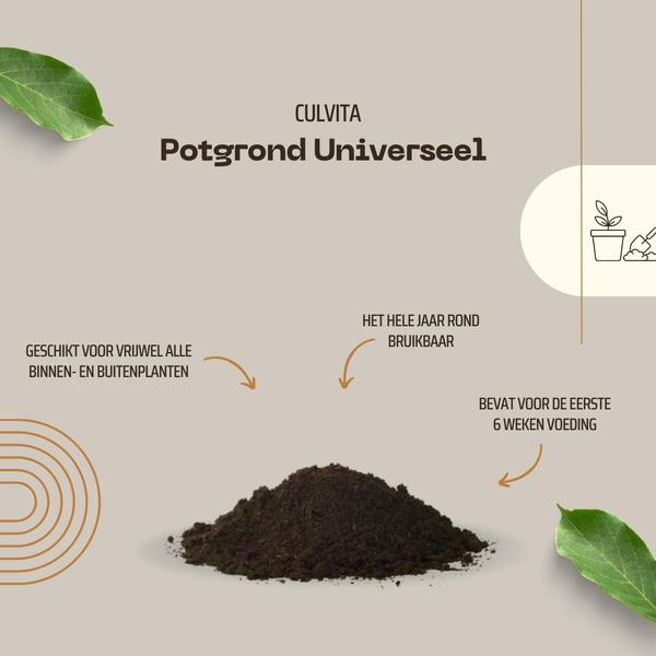 Culvita Universal-Blumenerde inklusive 2 Monate Pflanzennahrung – Universelle Blumenerde für Zimmerpflanzen und Freilandpflanzen – 40 Liter