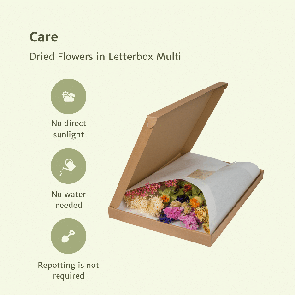 Droogbloemen in Letterbox Pink - ↕30cm - Multi