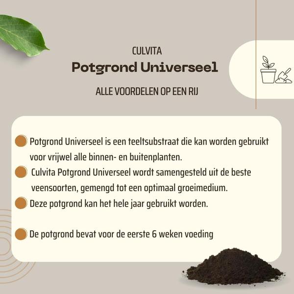 Culvita Universal-Blumenerde inklusive 2 Monate Pflanzennahrung – Universelle Blumenerde für Zimmerpflanzen und Freilandpflanzen – 40 Liter