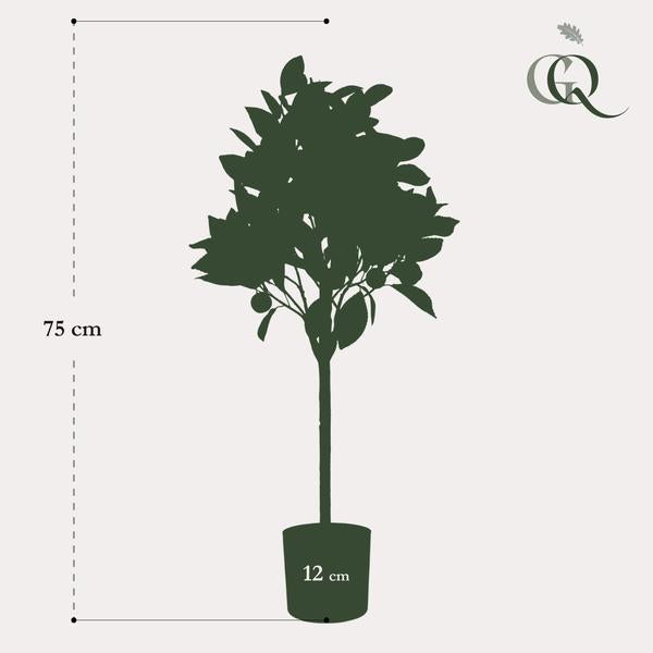 Künstliche Pflanze - Citrus Sinensis - Orangenbaum - 75 cm