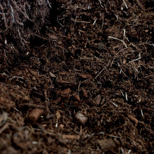 Culvita – Bio-Torffreie Blumenerde 40 Liter – Blumenerde für Zimmerpflanzen & Freilandpflanzen – inklusive organischem Dünger