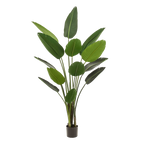 Kunstplant - Strelitzia Nicolai - Paradijsvogelbloem - 190 cm
