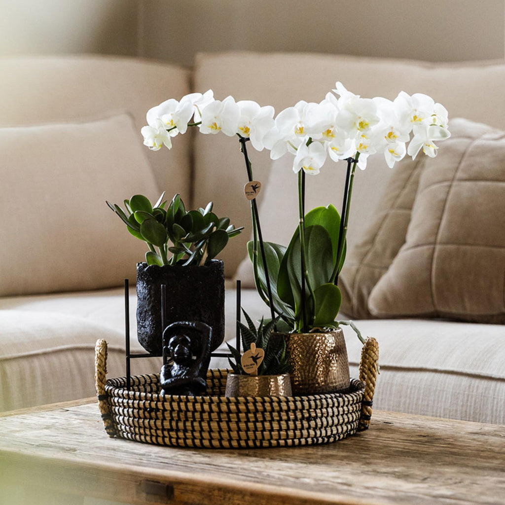 Kolibri Home | Decoratieschaal - Zwart gevlochten dienblad Ø30cm