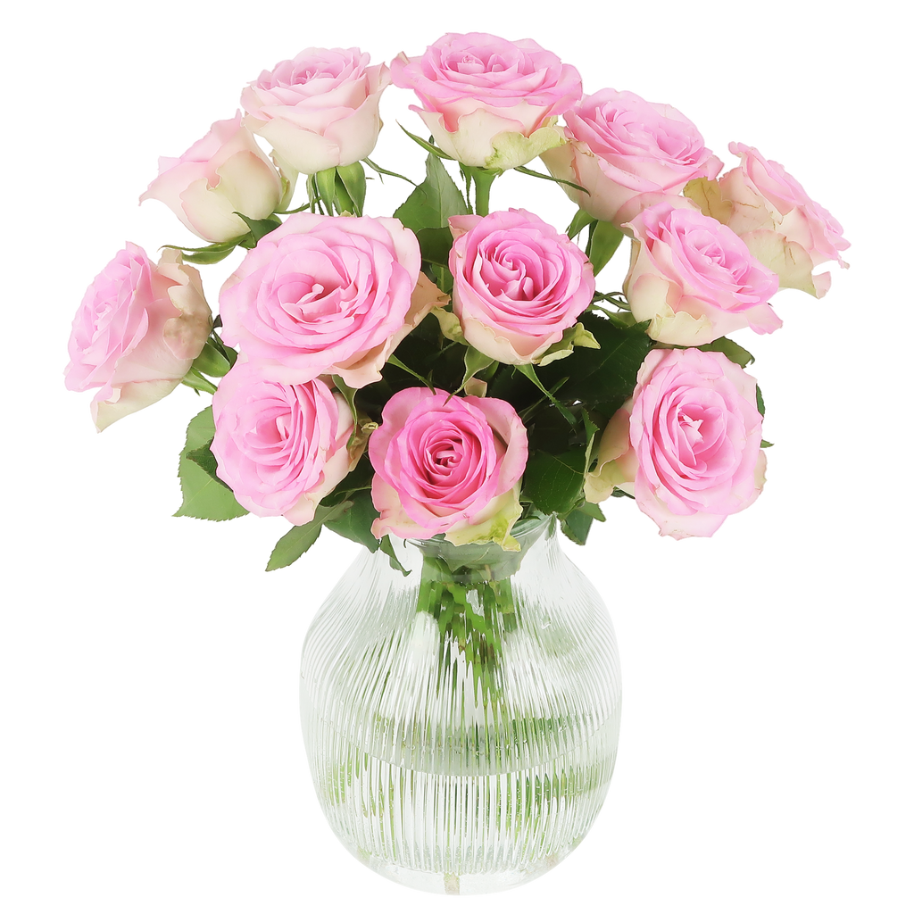 Sweet roses - roze rozen in brievenbuspakket