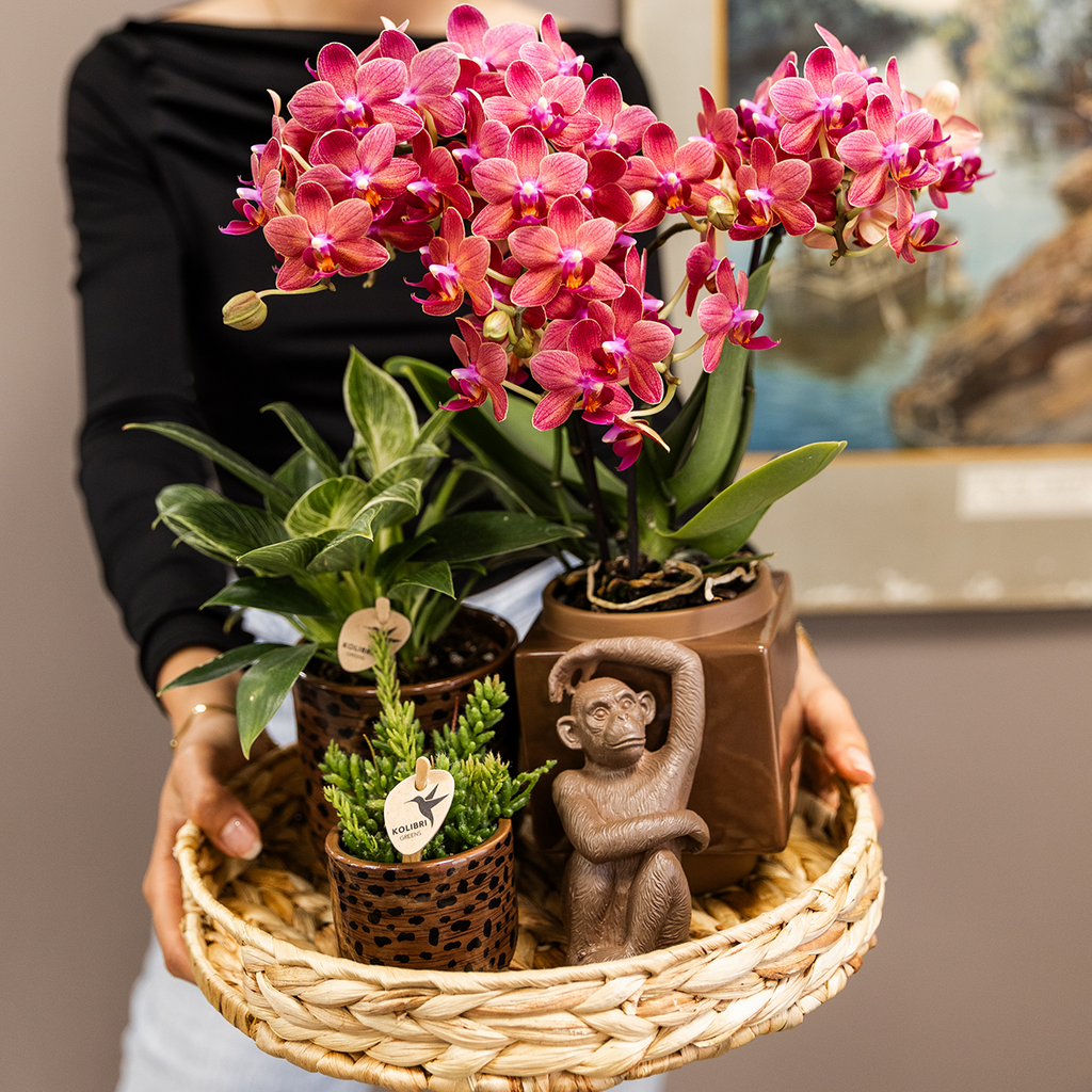 Kolibri Home | Leopard sierpot - Ø9cm